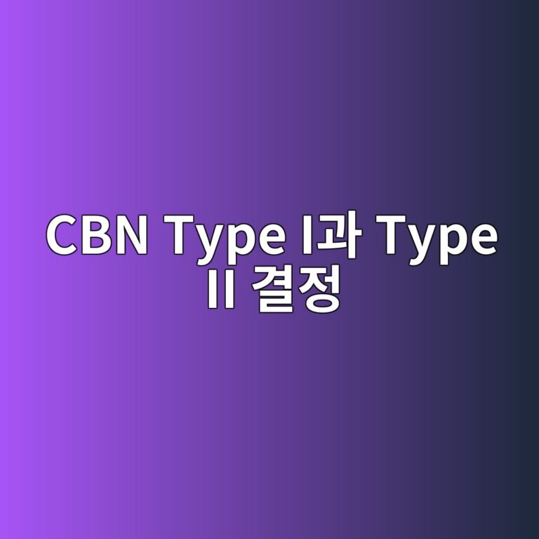 cbn type ieab3bc type ii eab2b0eca095 1787070236