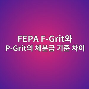 fepa f gritec9980 p gritec9d98 ecb2b4ebb684eab889 eab8b0eca480 ecb0a8ec9db4 1787403148