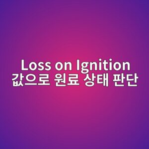 loss on ignition eab092ec9cbceba19c ec9b90eba38c ec8381ed839c ed8c90eb8ba8 1787404133