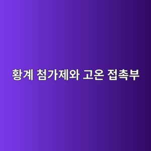 ed99a9eab384 ecb2a8eab080eca09cec9980 eab3a0ec98a8 eca091ecb489ebb680 1788263748